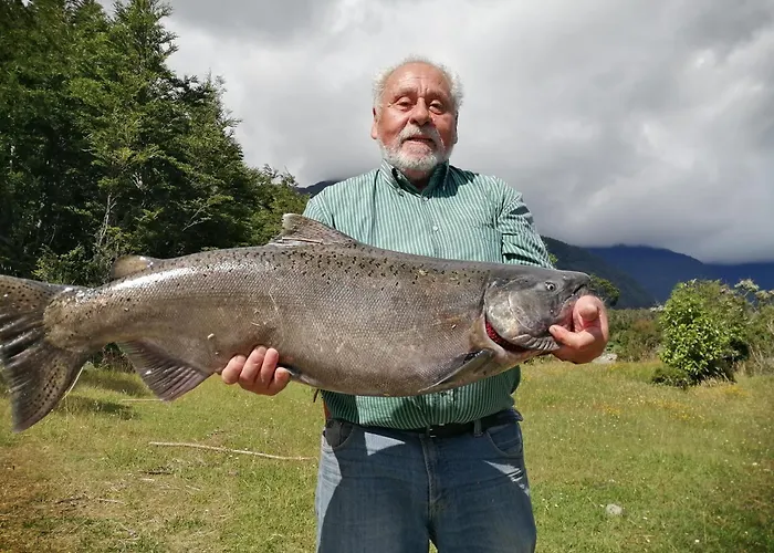 Patagonia Bordelago
