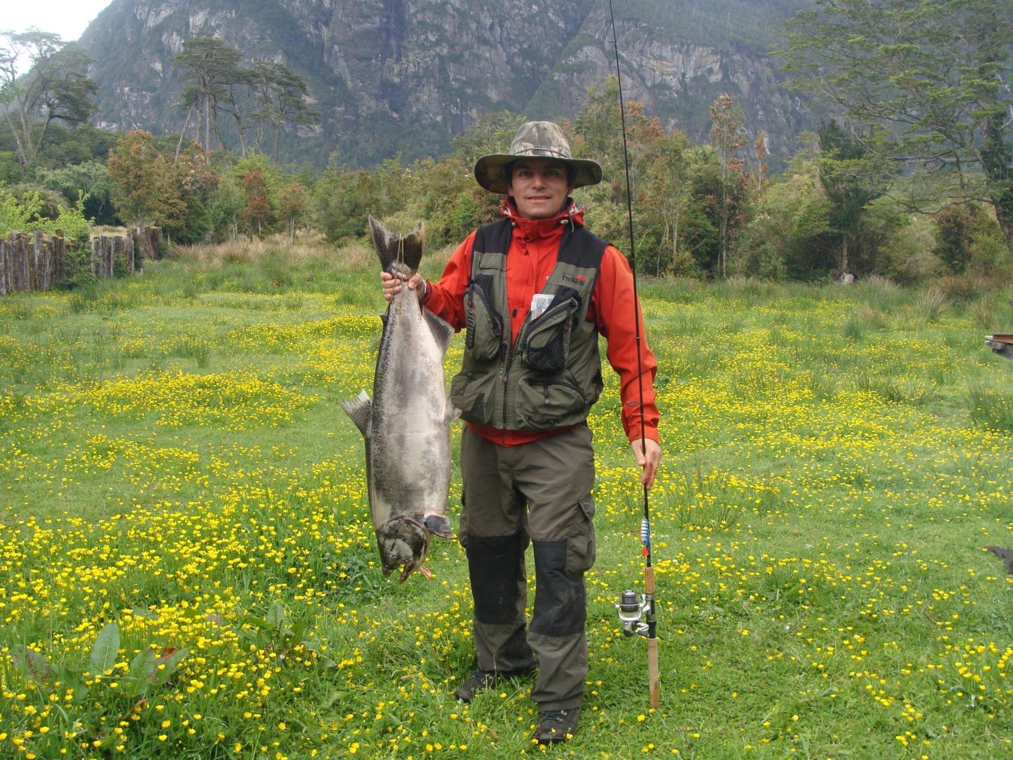 Patagonia Bordelago *