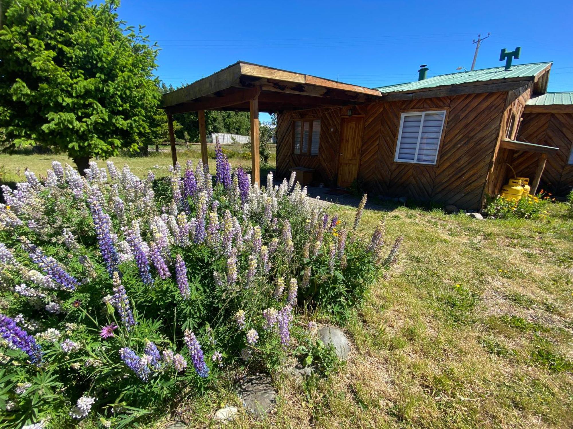 Lodge Patagonia Bordelago *